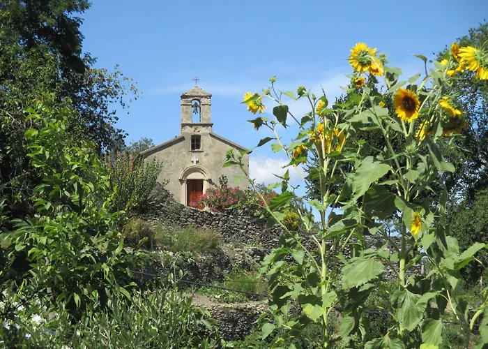 Sole E Ventu 30qm By Interhome San-Giovanni-di-Moriani