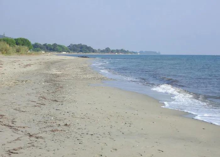 Sole E Ventu 30qm By Interhome San-Giovanni-di-Moriani